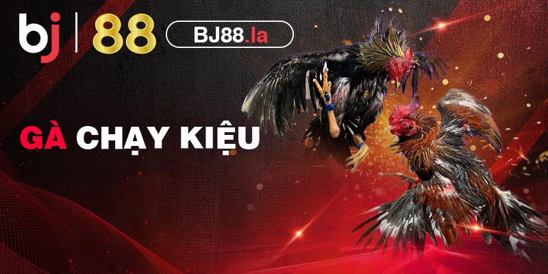 Gà chạy kiệu là gì? Đánh giá những đặc điểm của gà chạy kiệu