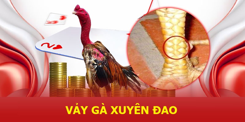 Vảy gà xuyên đao và những ngón nghề hạ gục đối thủ đỉnh cao