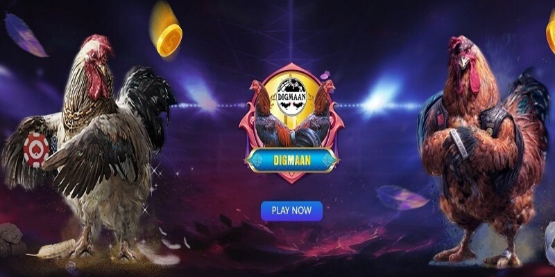 Những quy định cần biết khi tham gia sảnh Digmaan