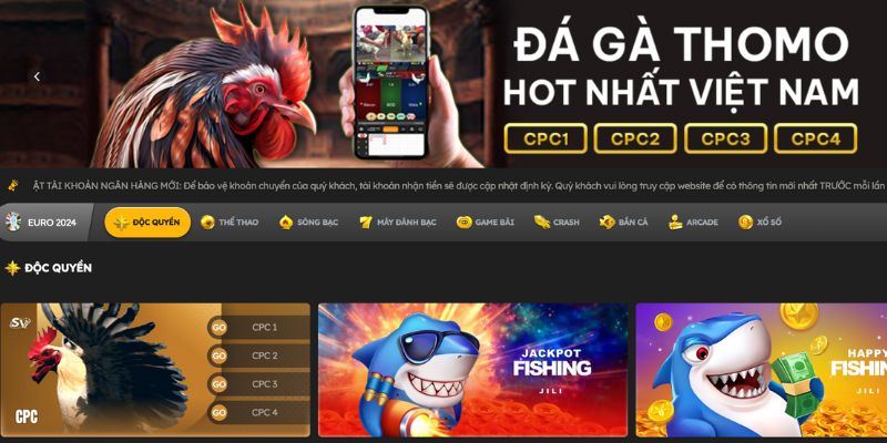 Sảnh ICF đá gà chuyên nghiệp