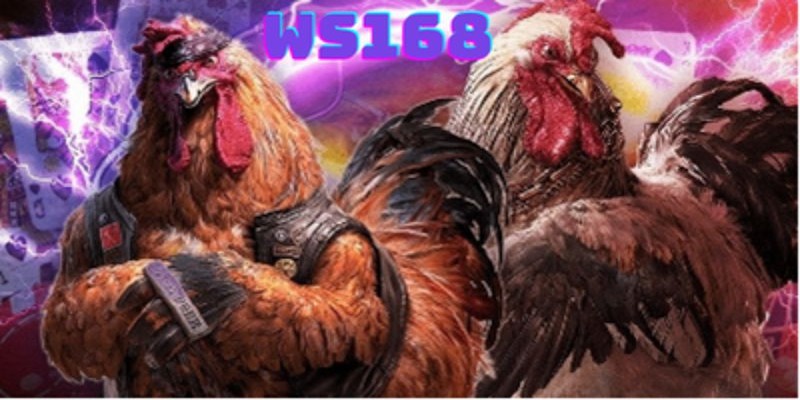 Giới thiệu chung về sảnh WS168