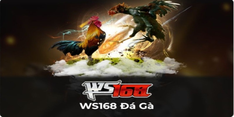 Lý do sảnh WS168 được yêu thích